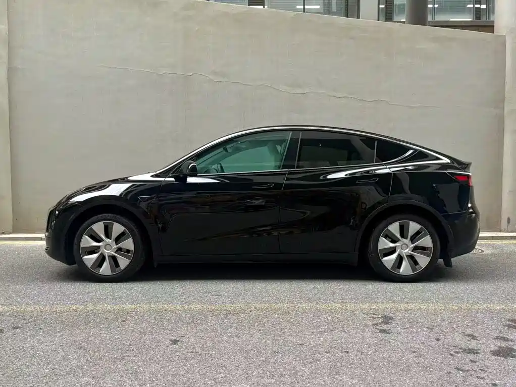 Tesla Model Y — миниатюра 3