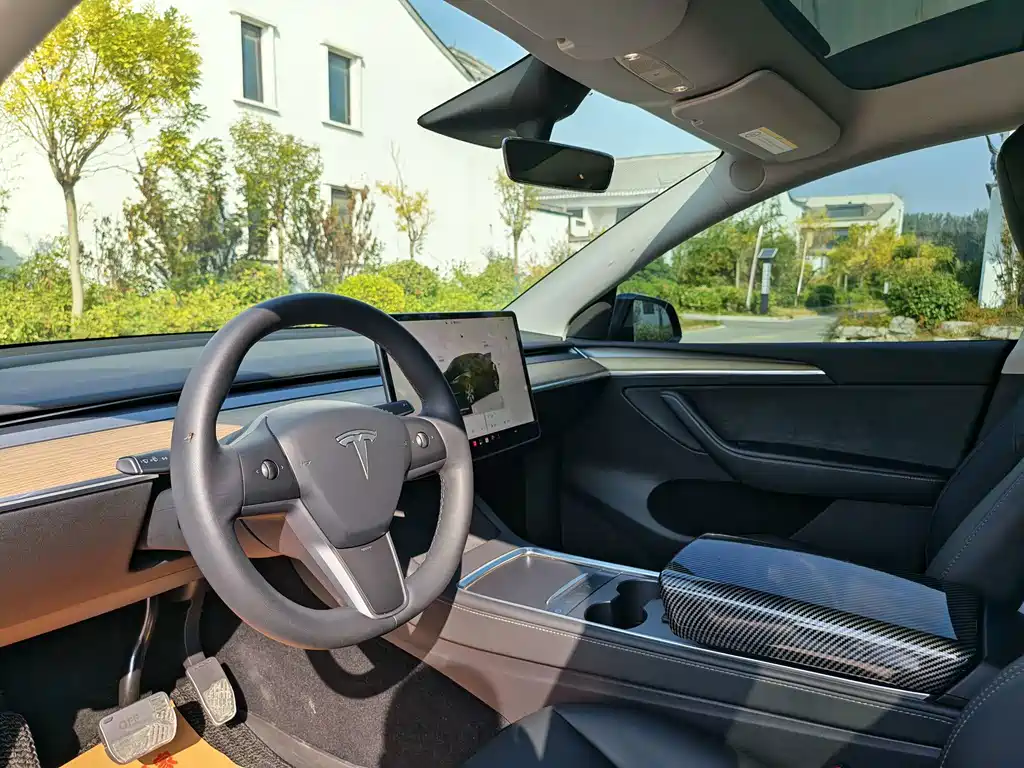 Tesla Model Y — миниатюра 6