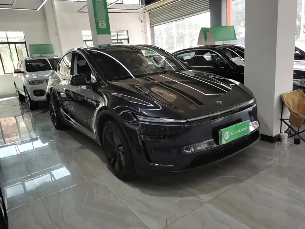 Tesla Model Y — миниатюра 4