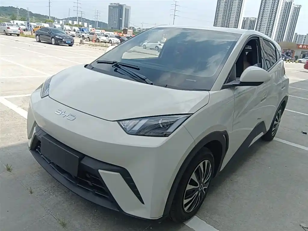 Byd Seagull 2024