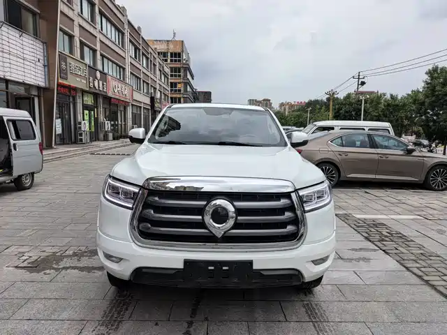 GREAT WALL CANNON 2023