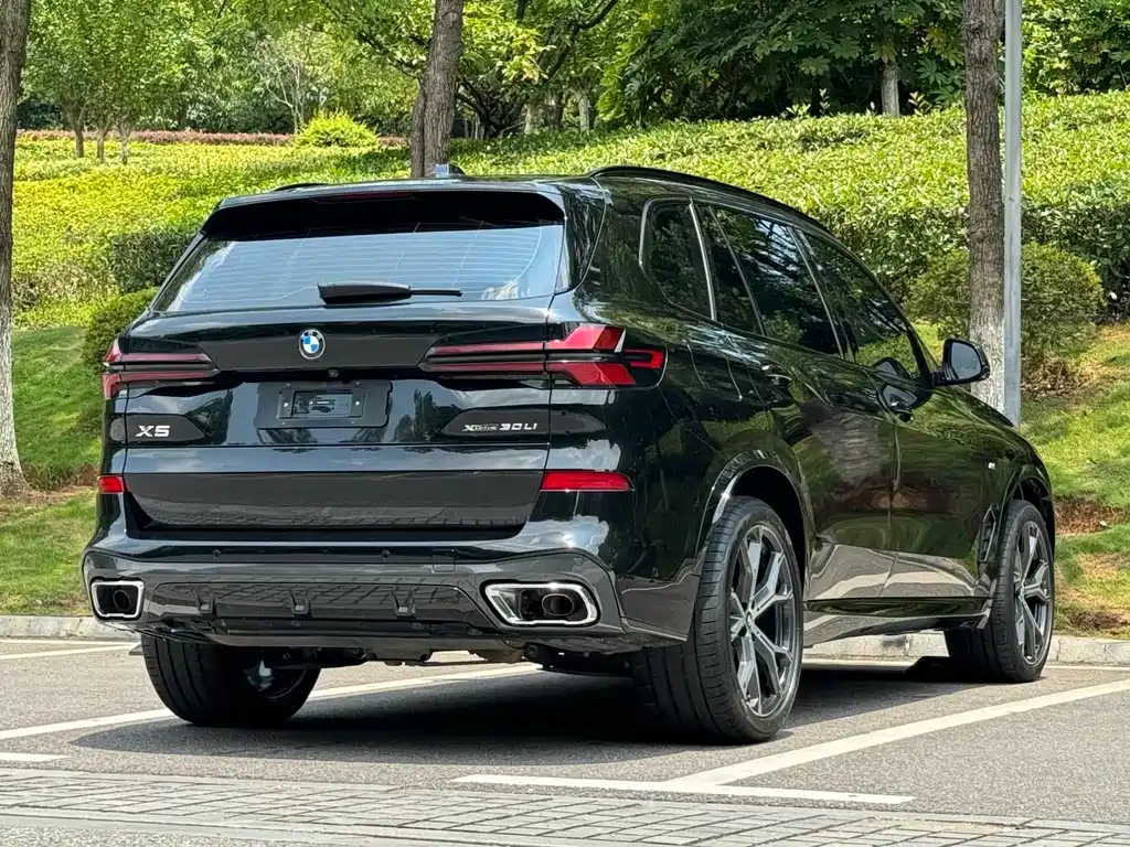 BMW X5 — миниатюра 7
