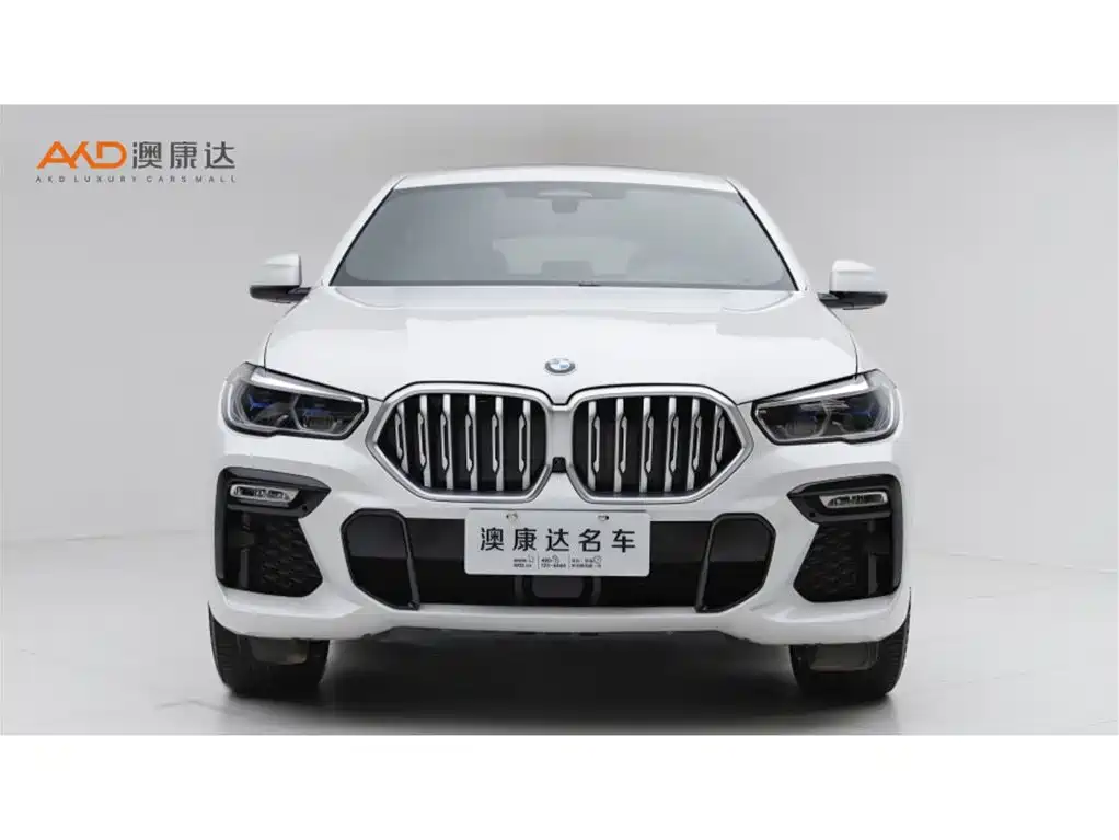 BMW X6 — миниатюра 2