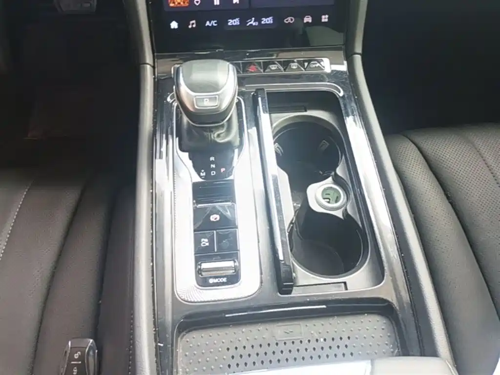 Hongqi H5 2024 2.0T AT