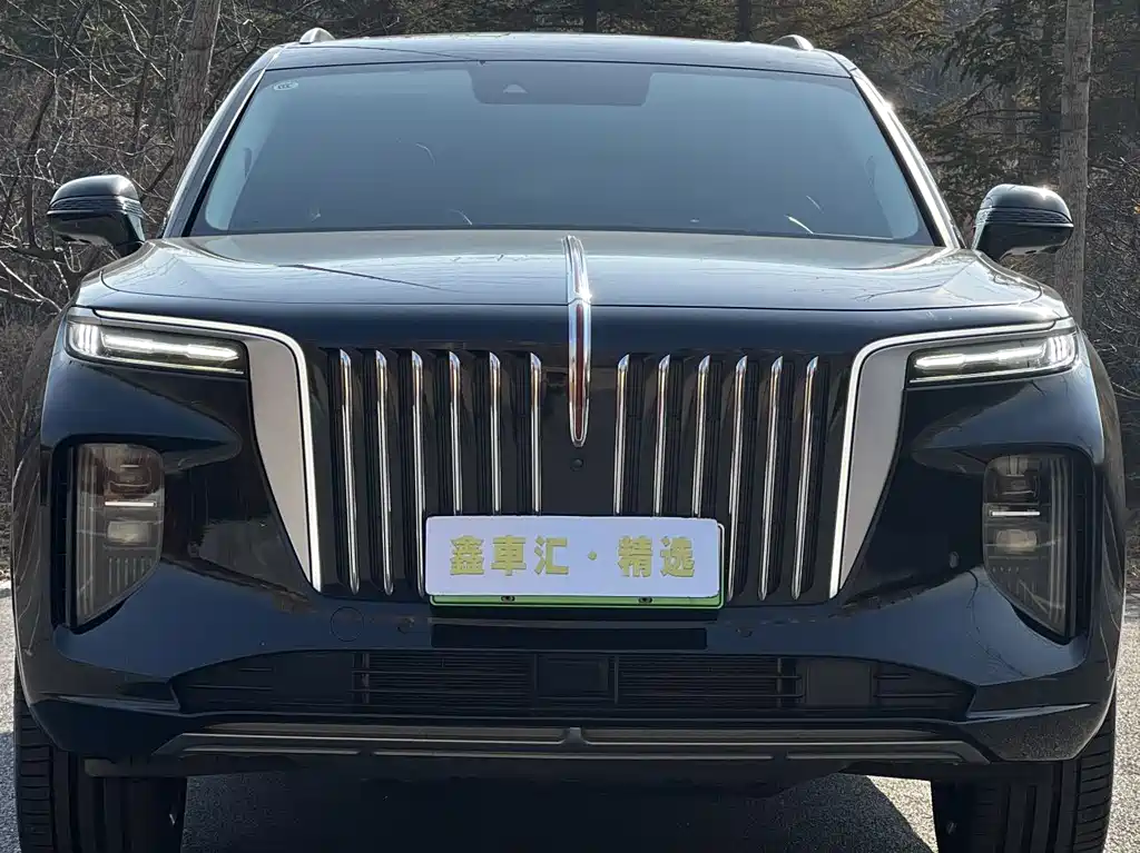 Hongqi HONGQI E HS9