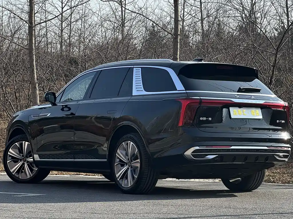 Hongqi HONGQI E HS9