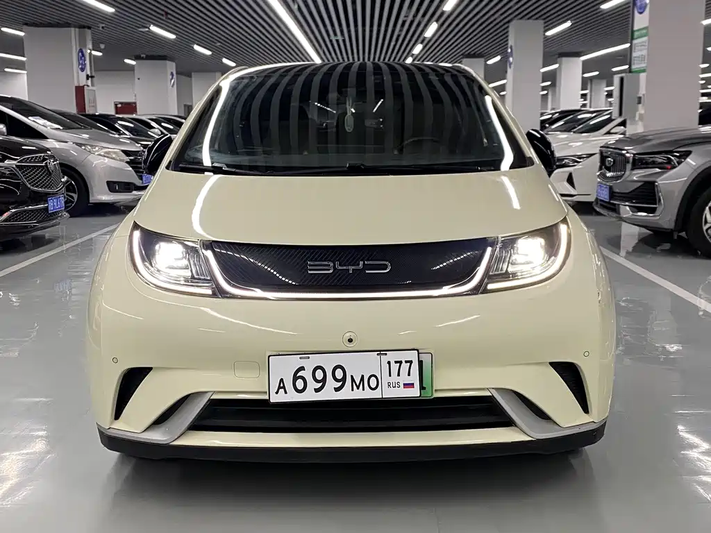 BYD Dolphin — миниатюра 2
