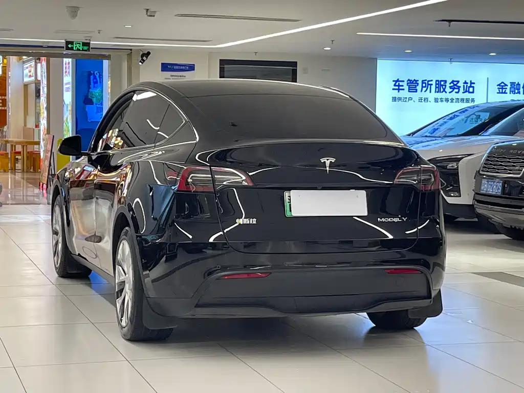Tesla Model Y — миниатюра 17