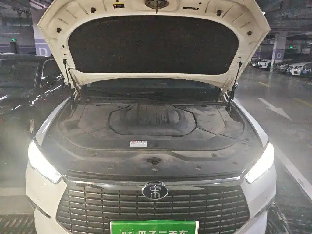 BYD Pro New Energy — миниатюра 21