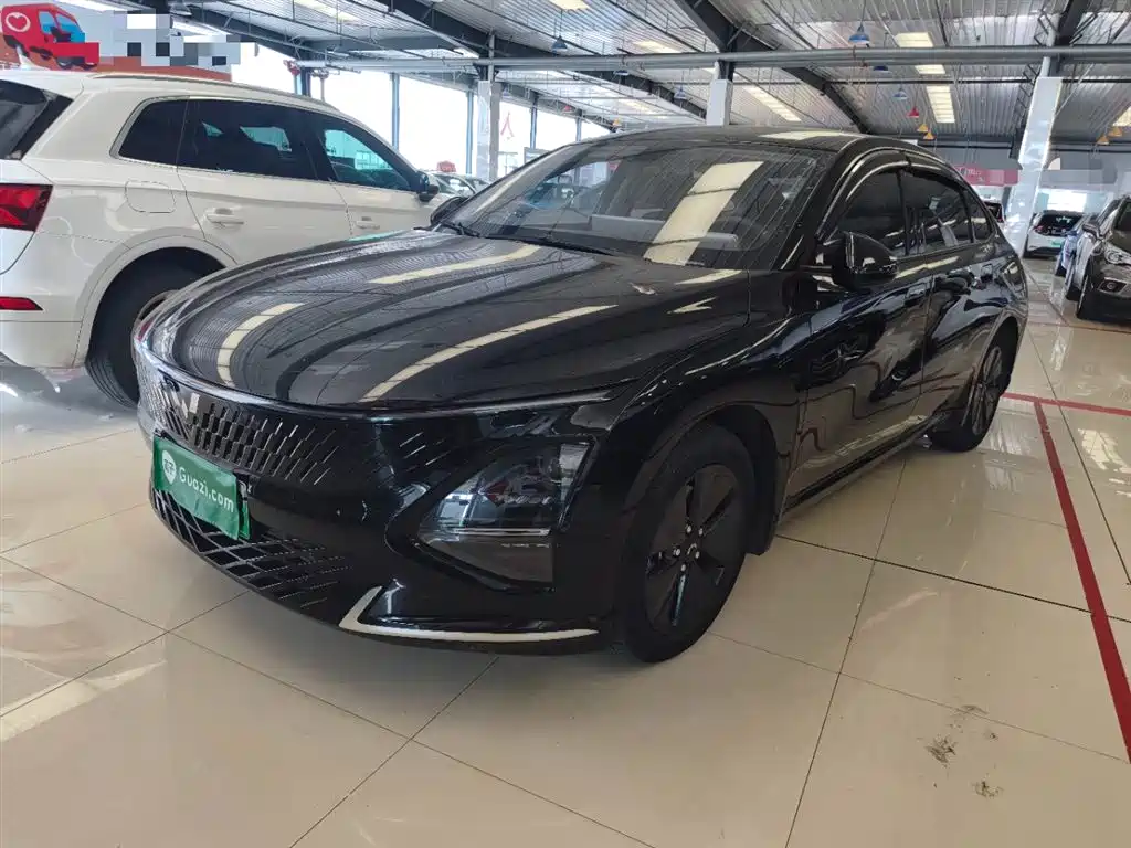 Wuling Xingguang 2024