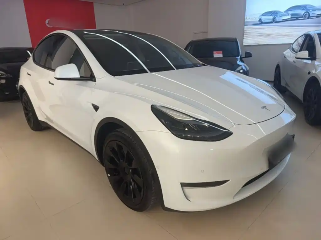 Tesla Model Y — миниатюра 4
