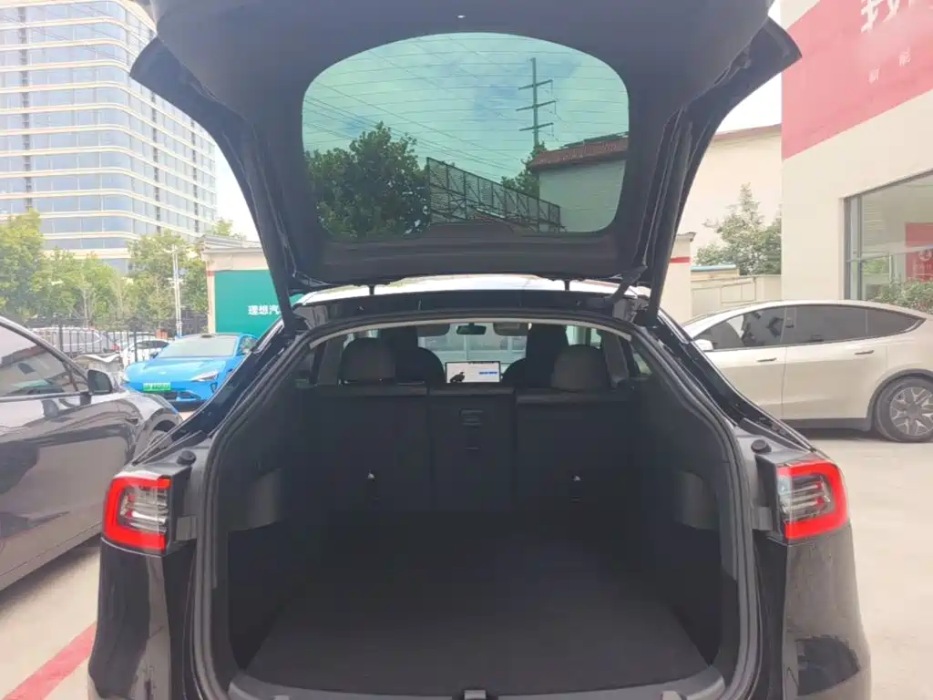 Tesla Model Y — миниатюра 19