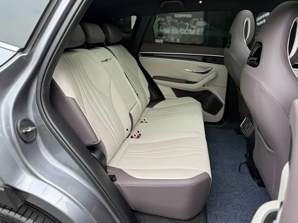 BYD PLUS — миниатюра 14