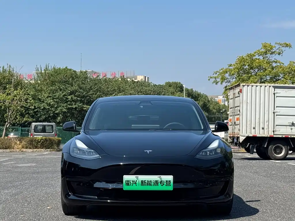 Tesla Model 3 — миниатюра 2