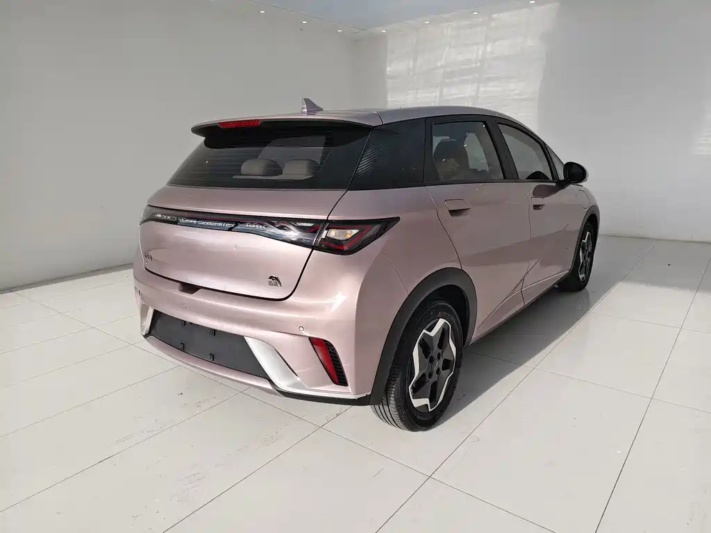 BYD Dolphin — миниатюра 10