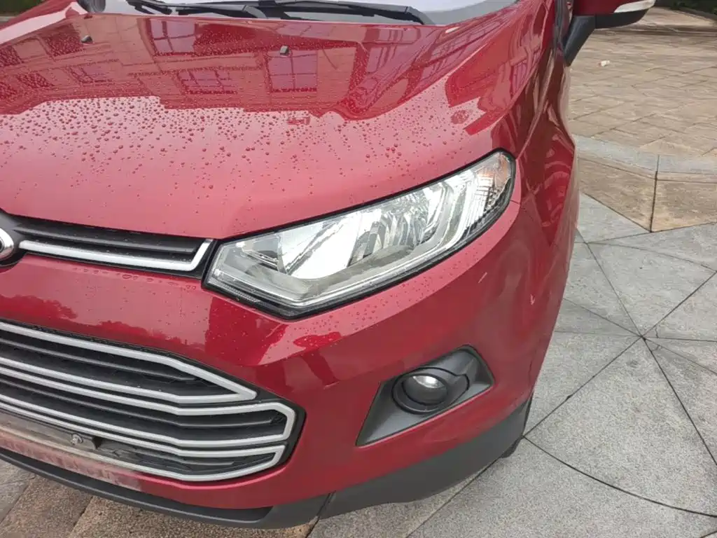 Ford Ecosport — миниатюра 24