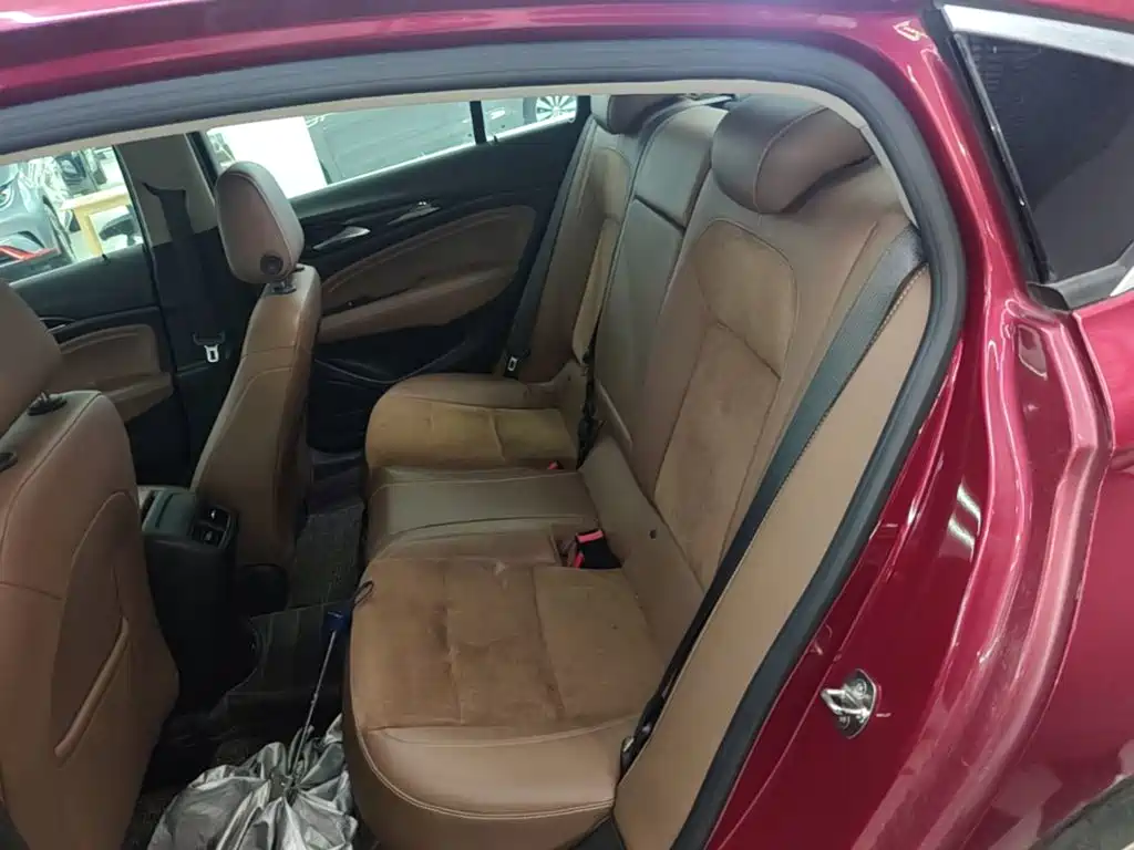 Buick Regal — миниатюра 17