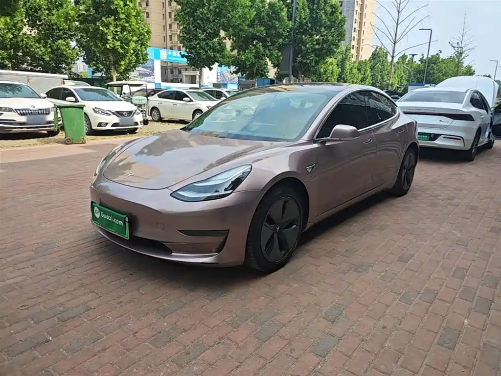 Tesla Model 3 2019