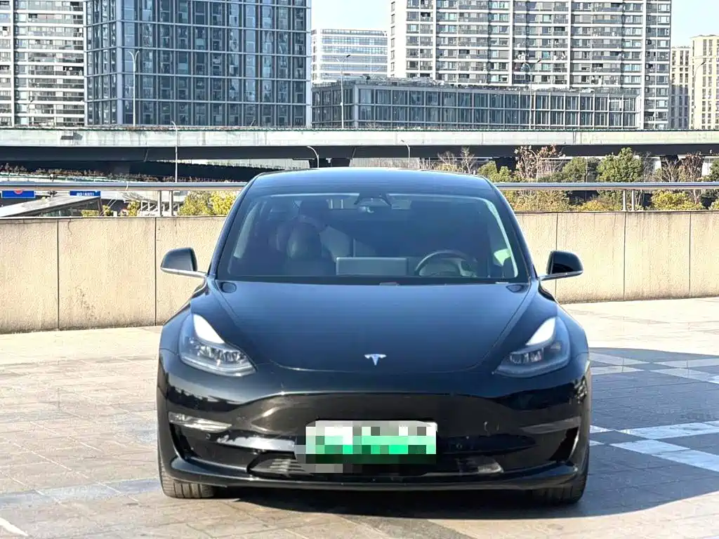 Tesla Model 3 — миниатюра 2