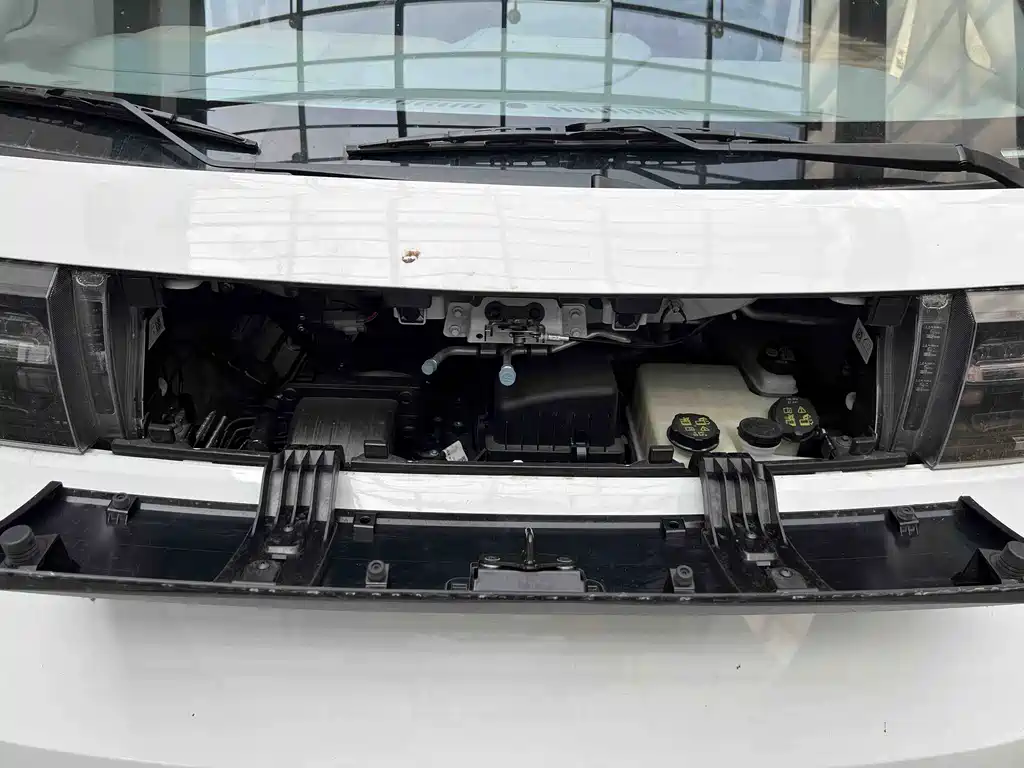 MAXUS V1L — миниатюра 10