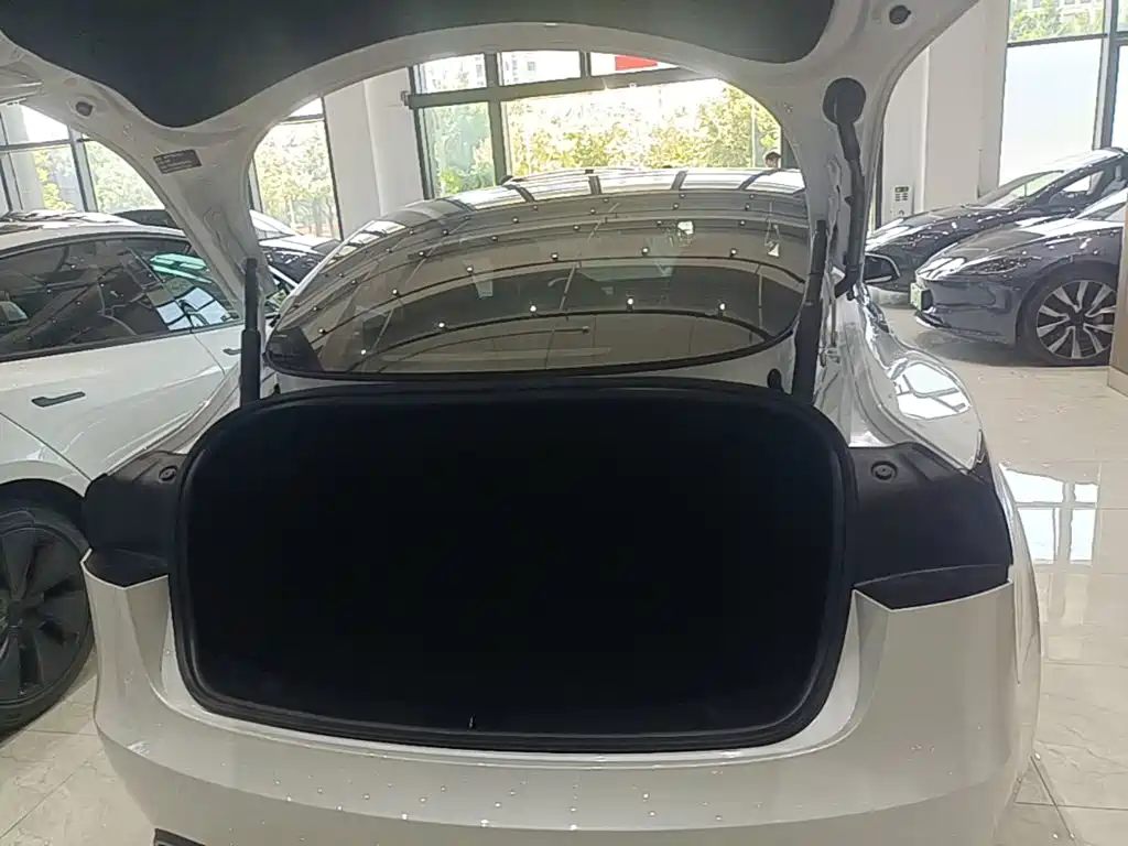 Tesla Model 3 — миниатюра 19