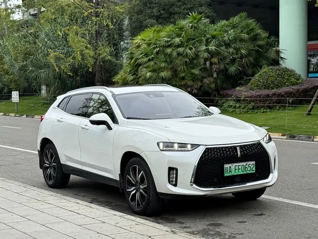 Wey Wey P8 — миниатюра 3