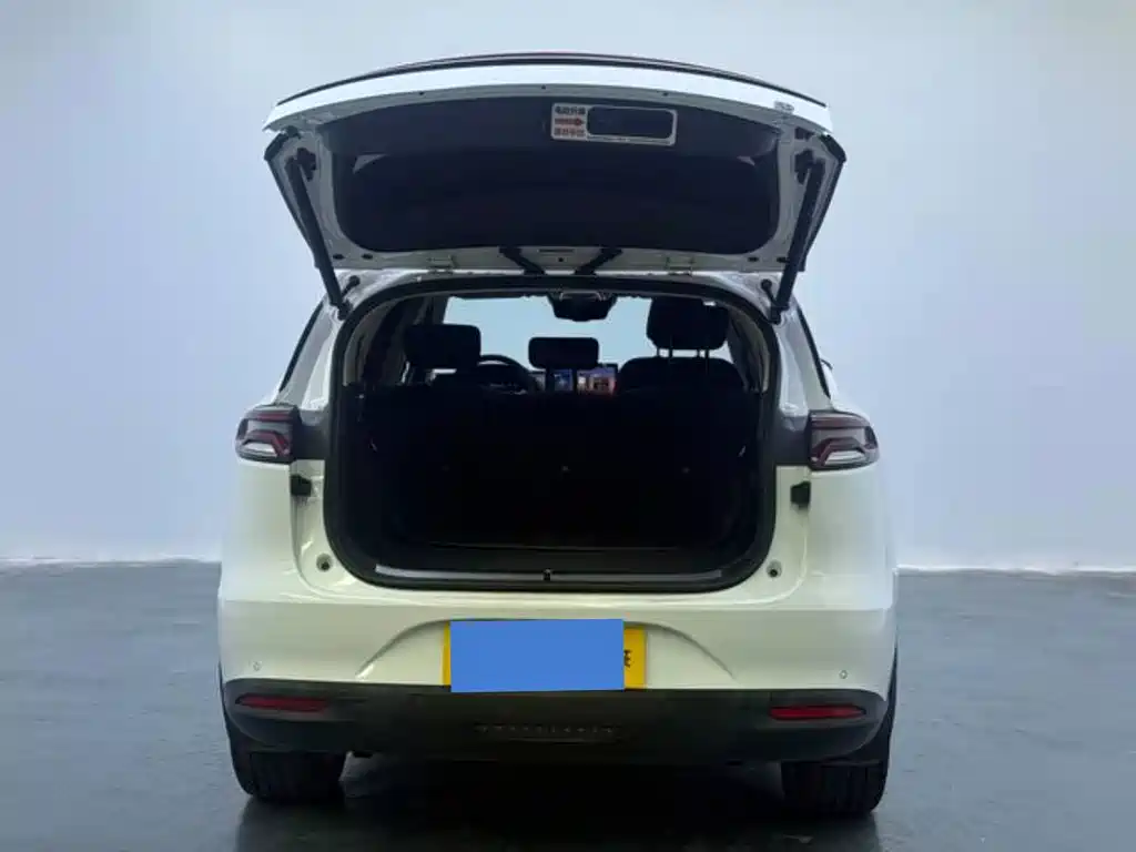 BYD Tang New Energy — миниатюра 13
