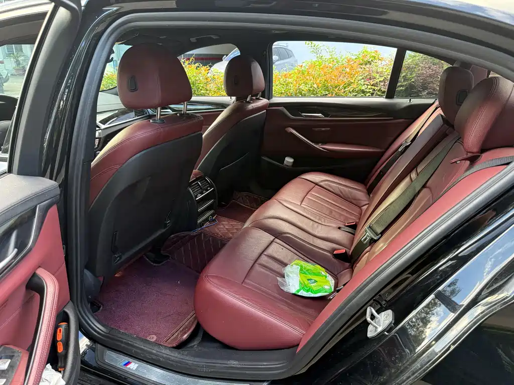 BMW 5 Series — миниатюра 3