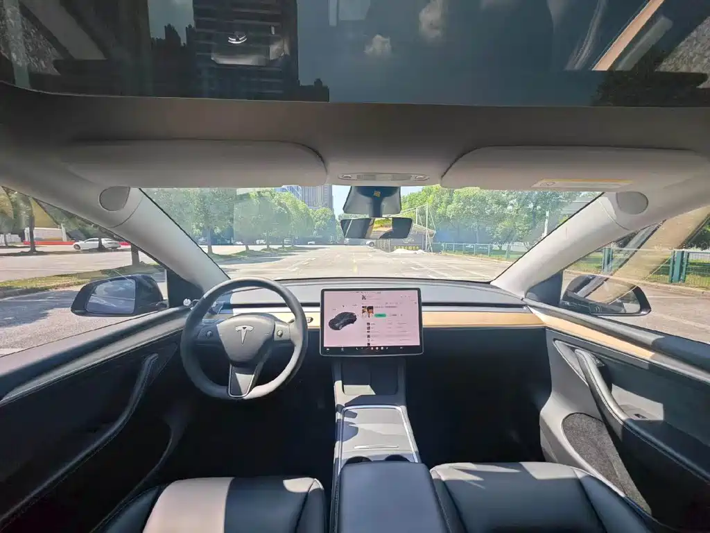 Tesla Model Y — миниатюра 8