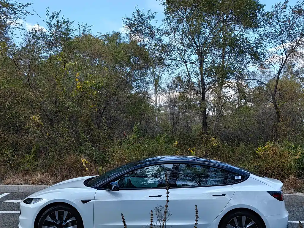 Tesla Model 3 — миниатюра 5