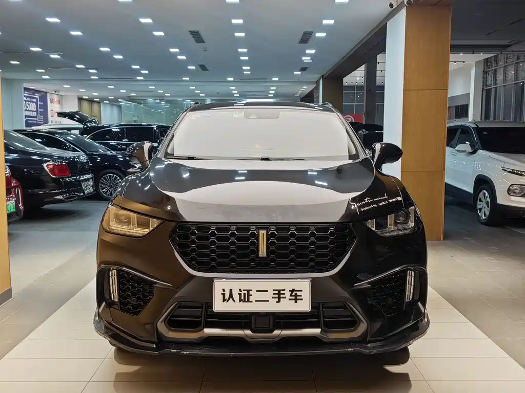 WEI PAI WEI BRAND VV5