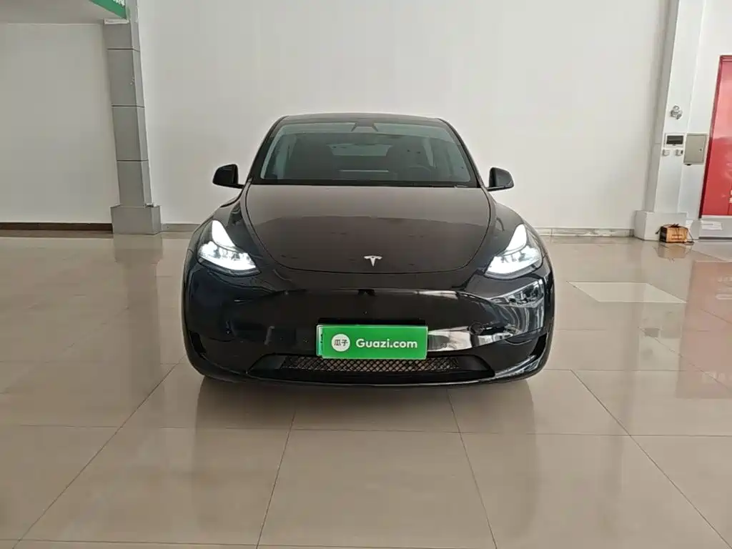 Tesla Model Y — миниатюра 3