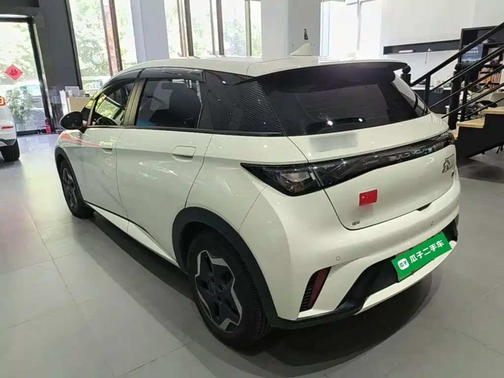 BYD Dolphin — миниатюра 5