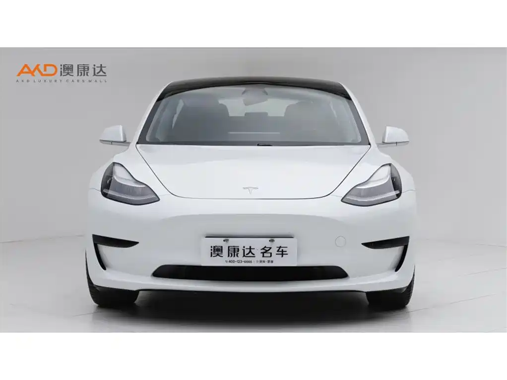 Tesla Model 3 — миниатюра 2