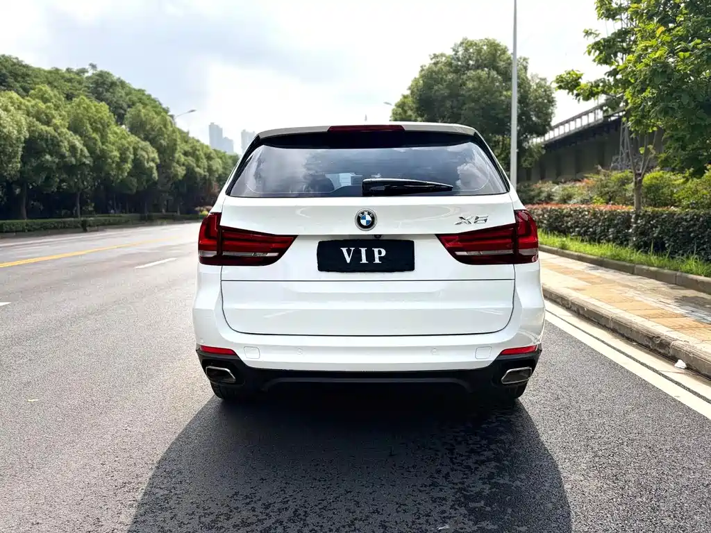 BMW X5 (Import) — миниатюра 7