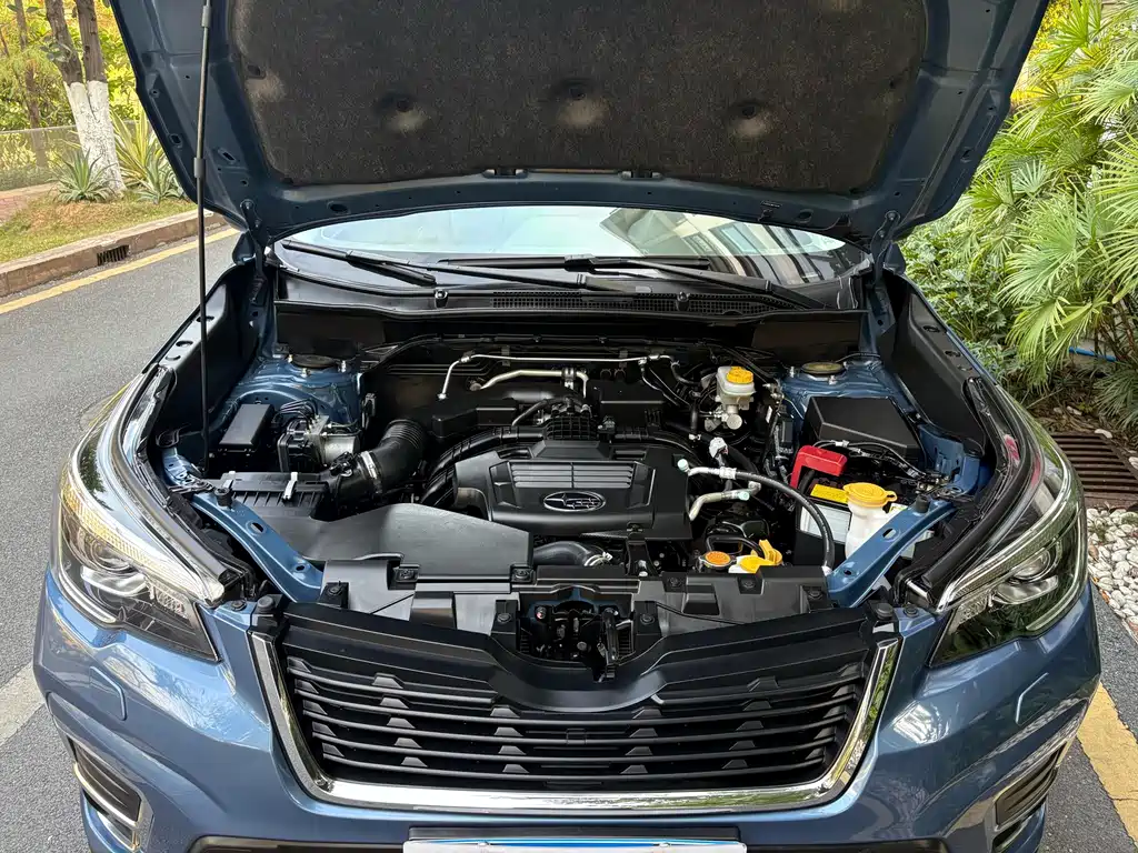 Subaru Forester — миниатюра 20
