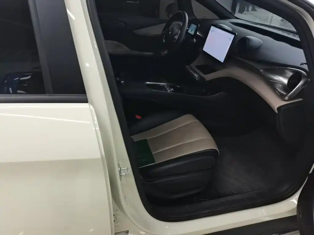 BYD Dolphin — миниатюра 25