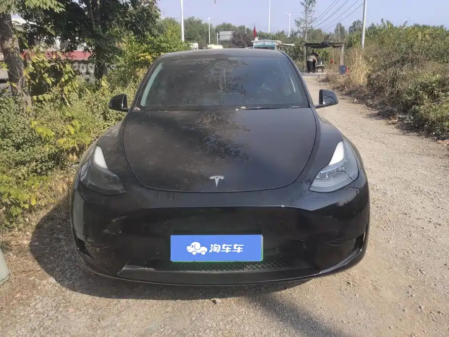 Tesla Model Y — миниатюра 2