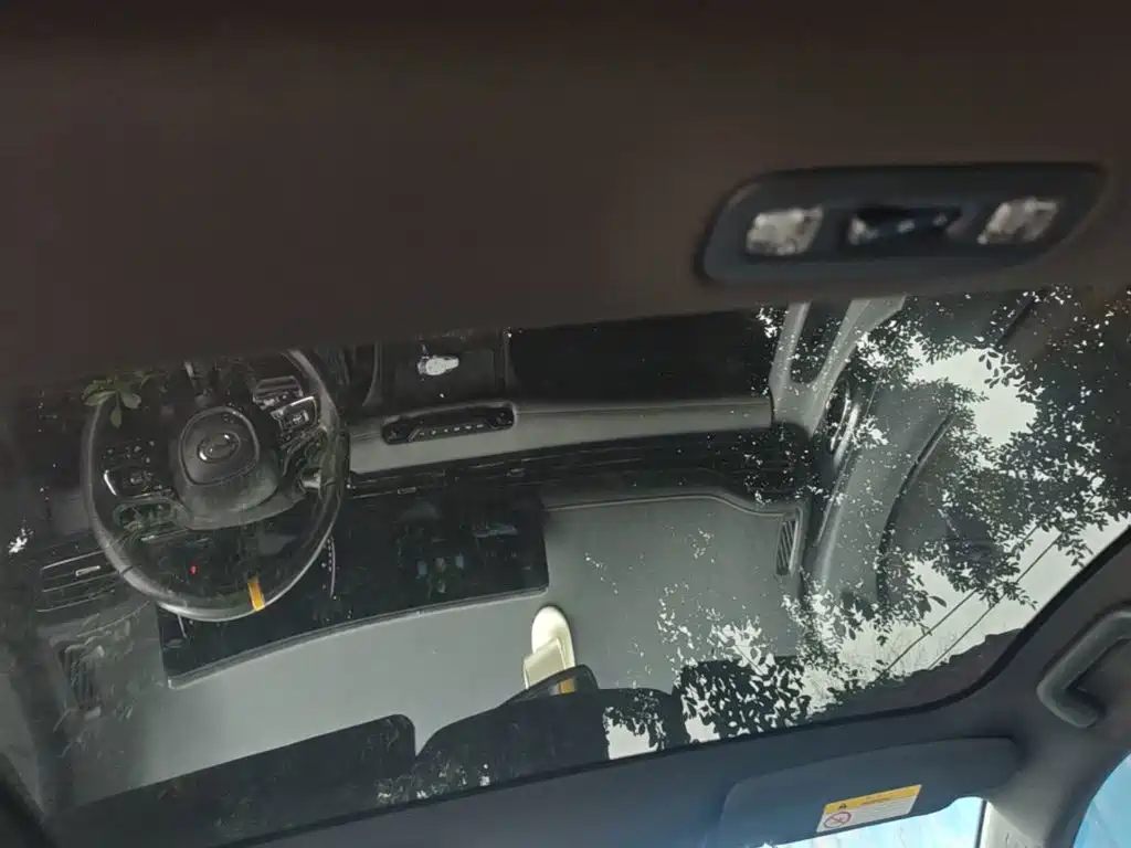 GAC Motor Shadow Leopard — миниатюра 18