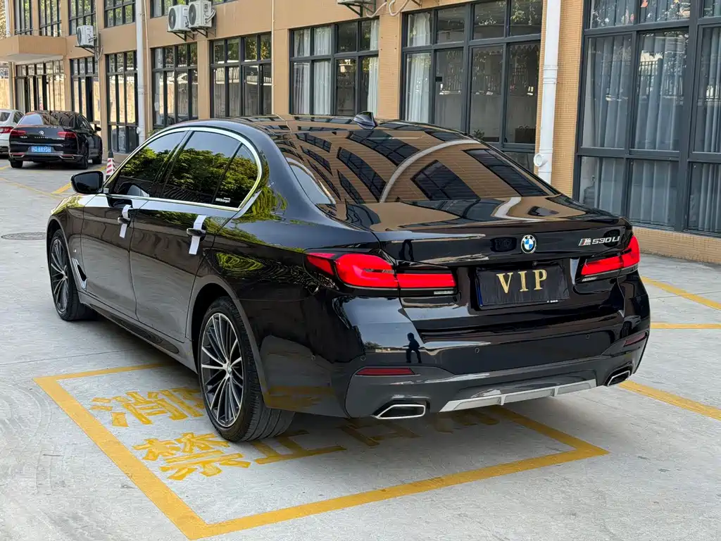 BMW 5 Series — миниатюра 4