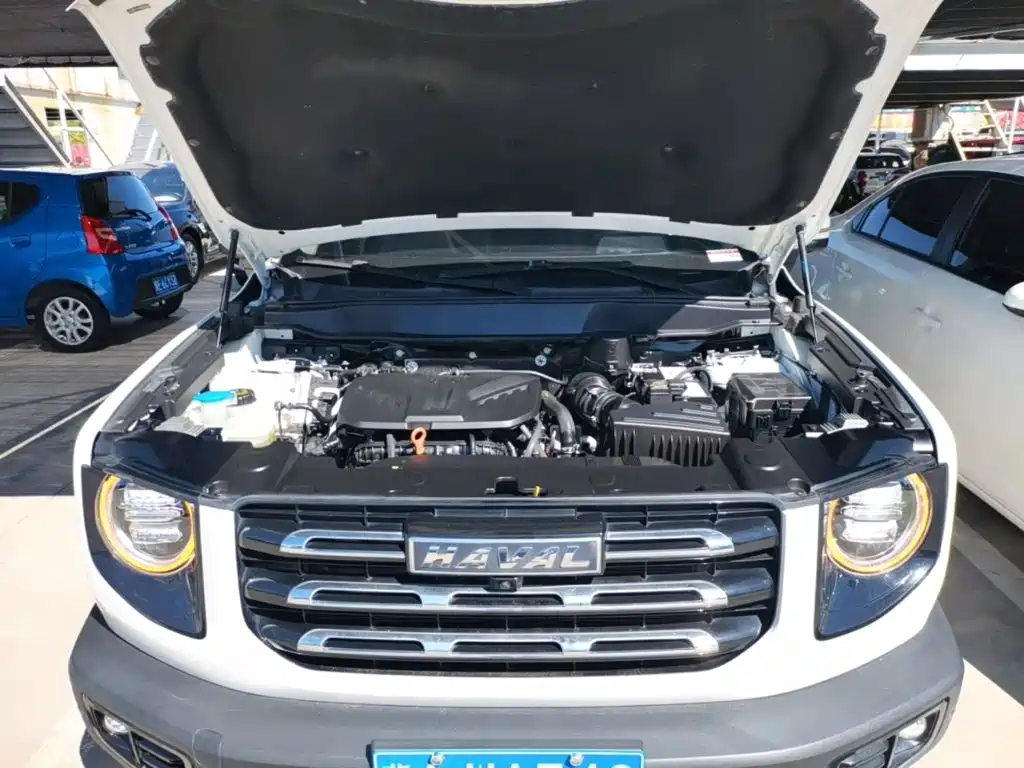 Haval Big Dog — миниатюра 20