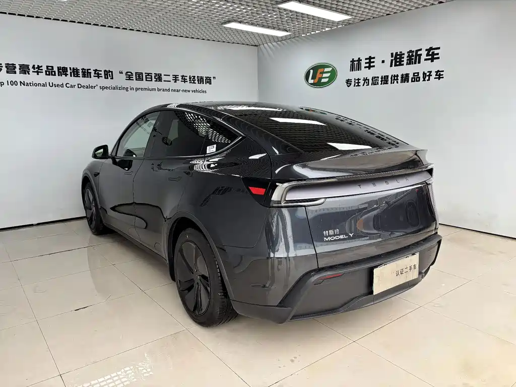 Tesla Model Y — миниатюра 6