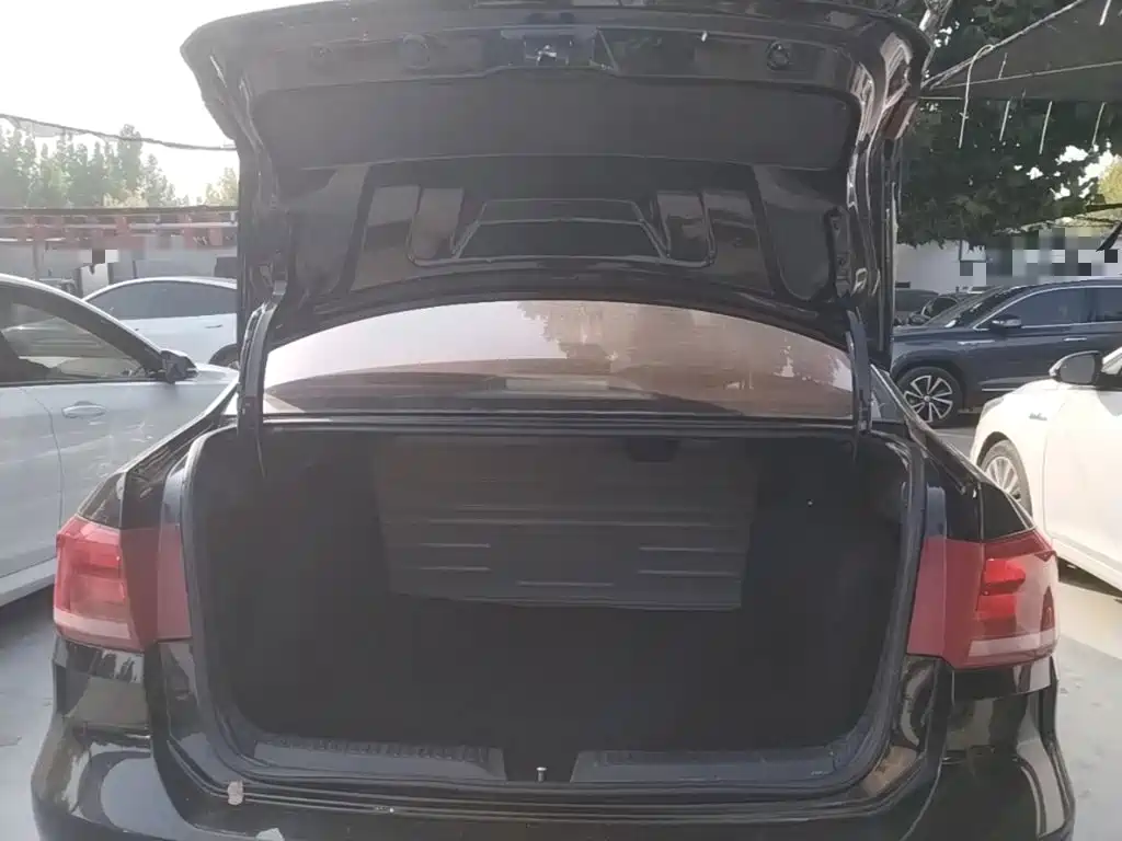 Volkswagen Santana — миниатюра 19