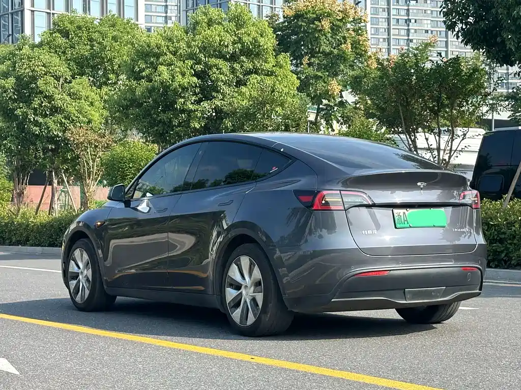 Tesla Model Y — миниатюра 4