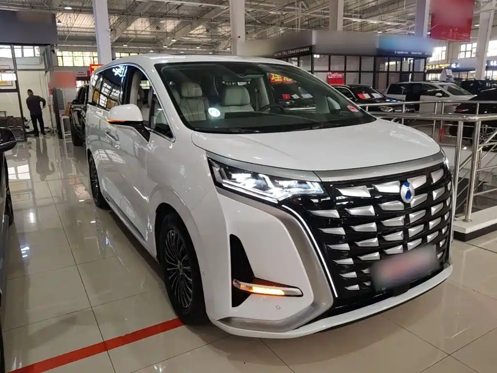 Denza Denza D9 — миниатюра 4