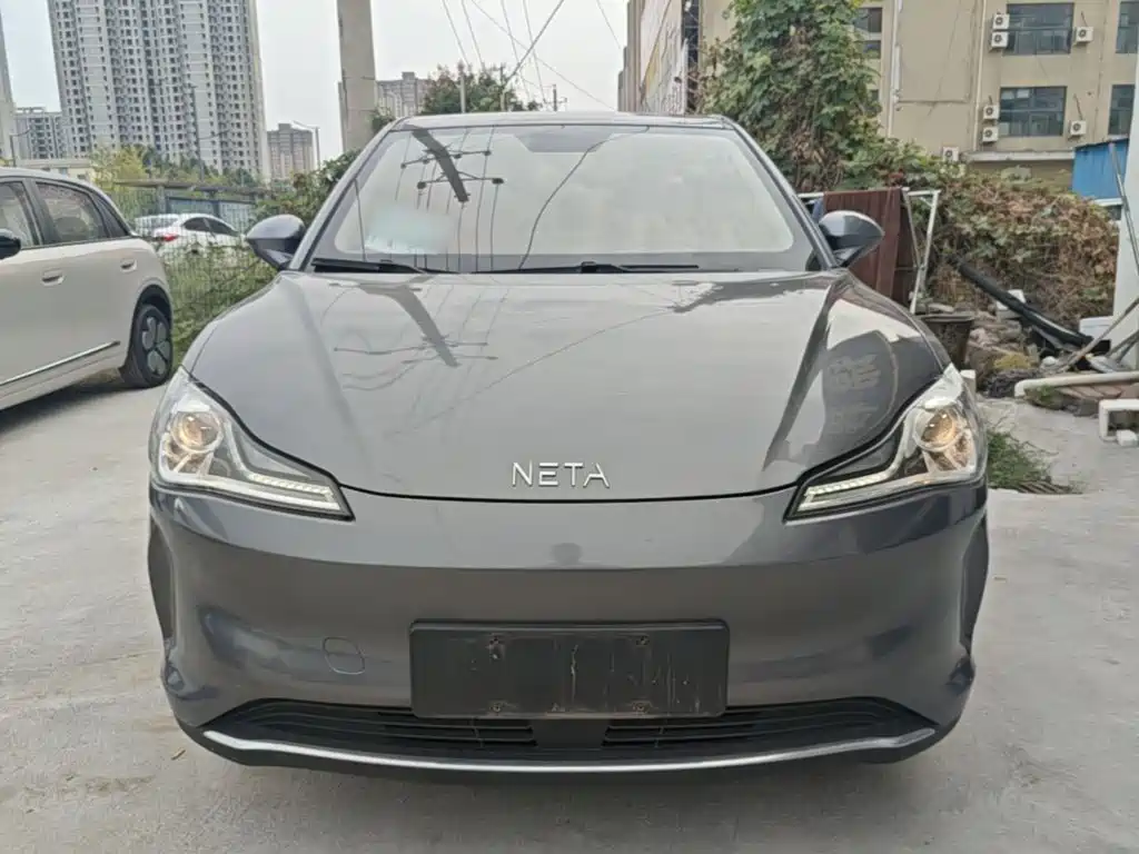 Neta Neta V — миниатюра 3