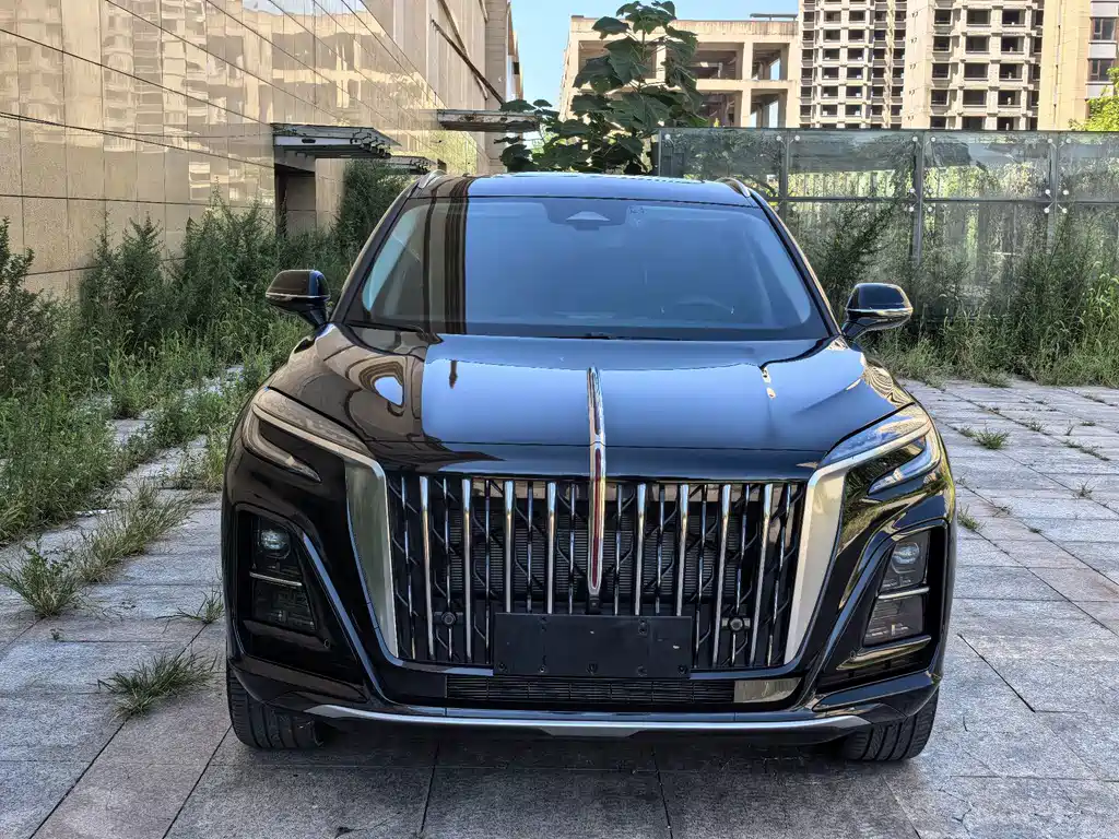 Hongqi Hongqi HS3 PHEV — миниатюра 3