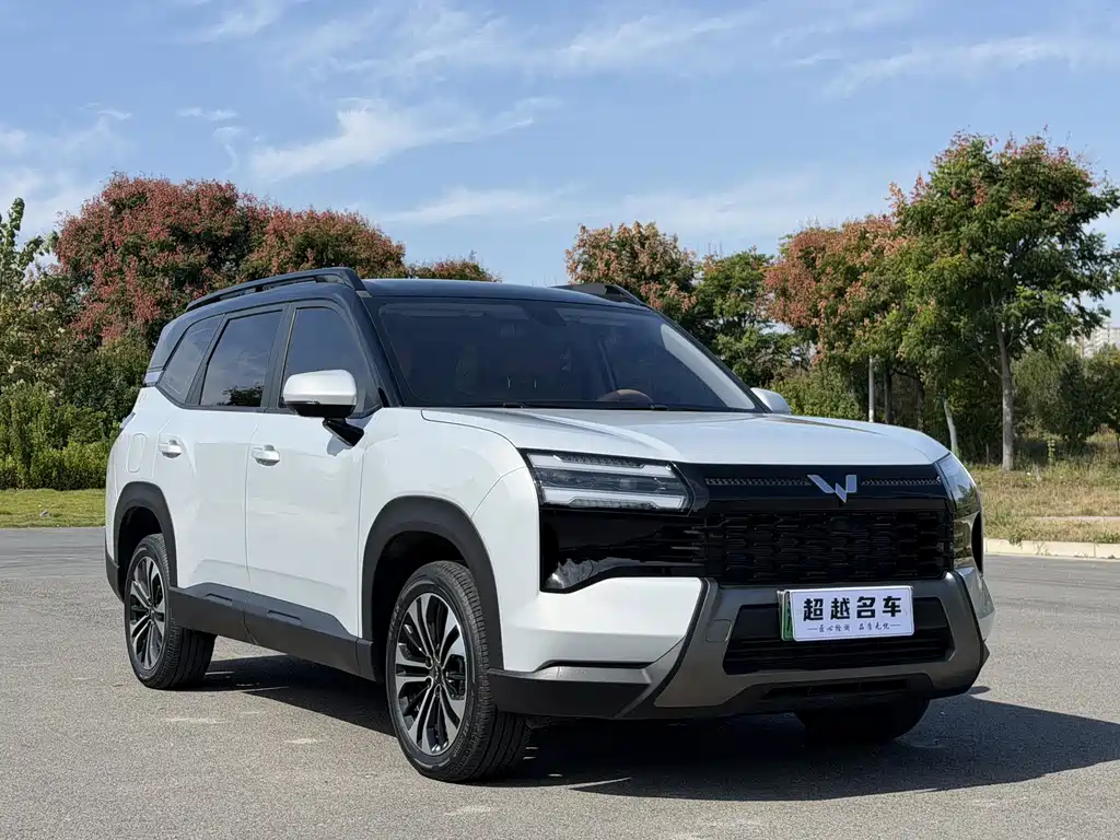 Wuling Xingguang 560 New Energy — миниатюра 3