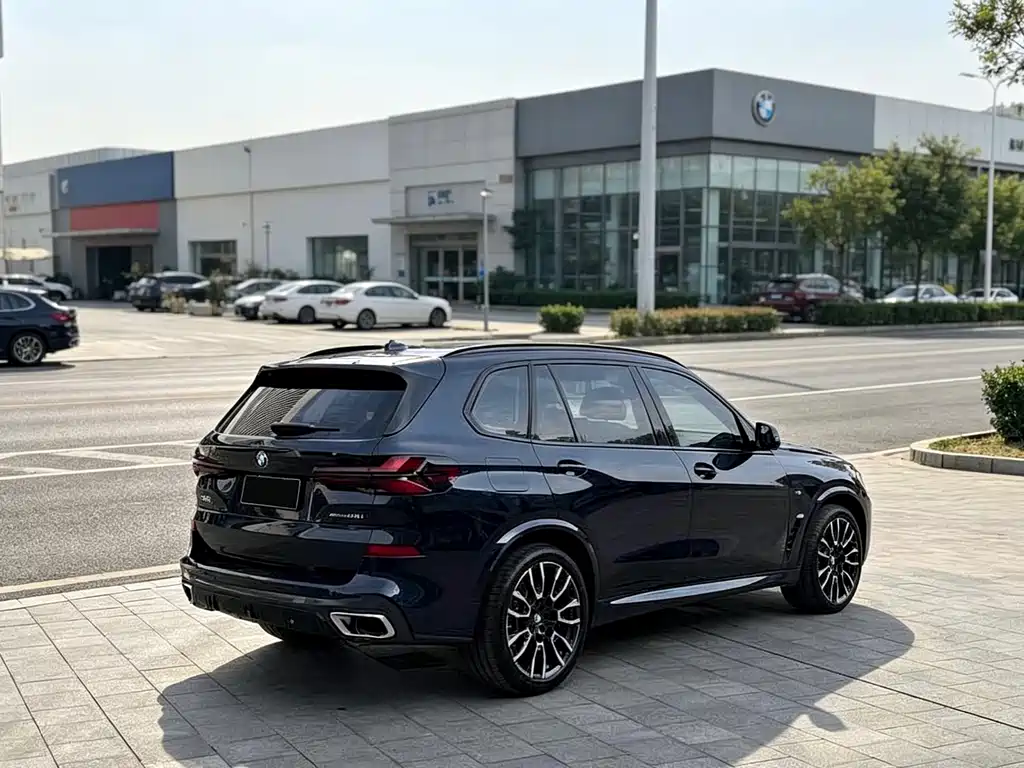 BMW X5 — миниатюра 11