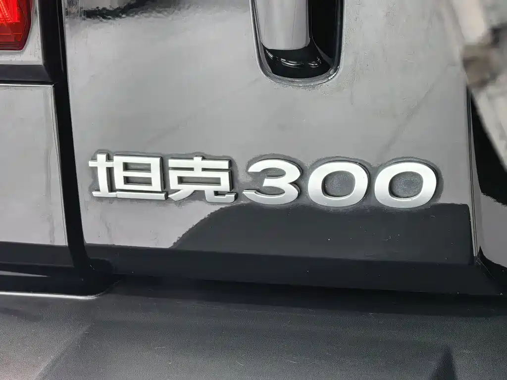 Tank Tank 300 — миниатюра 33